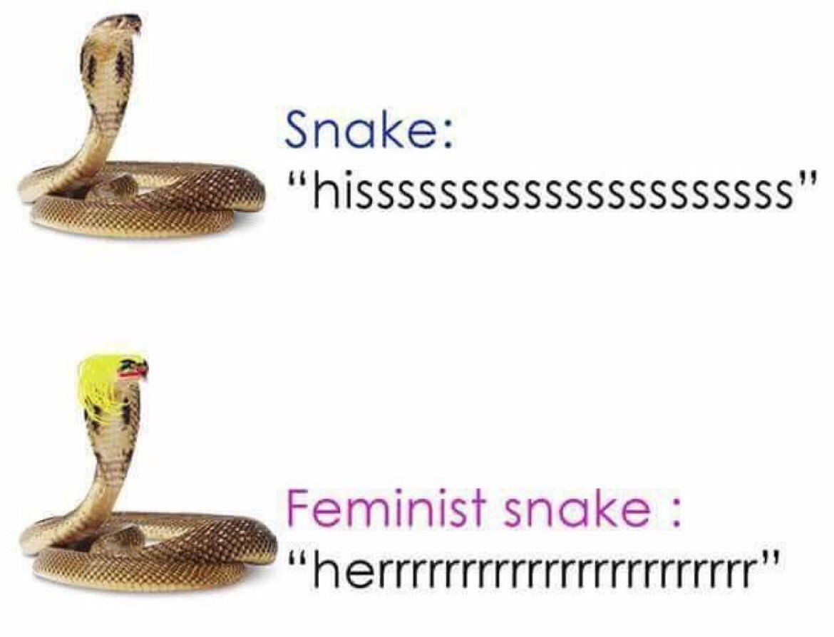Snake: Feminist snake