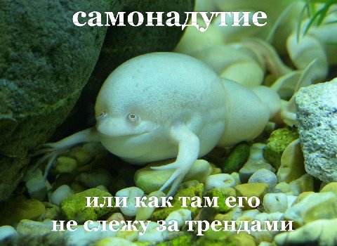 самонадутие или как там ero „а“ He трендами,