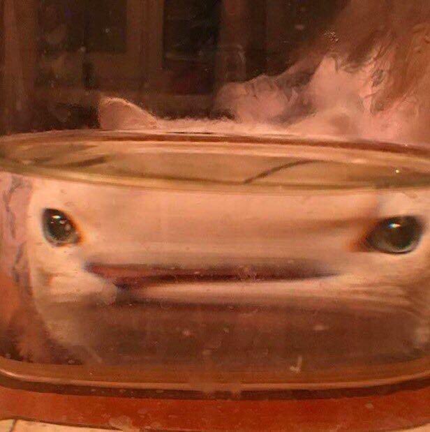 у