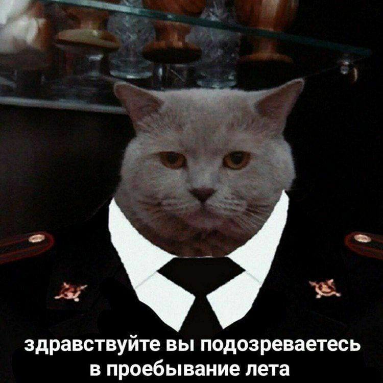 здравствуйте вы подозреваетесь в проебывание лета