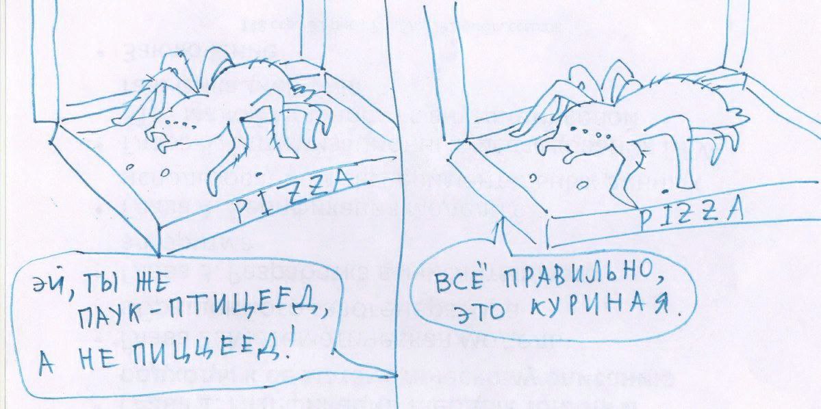 2 ТЫ НЕ a к WE КУРИНАЯ.