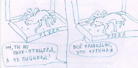 2 ТЫ НЕ a к WE КУРИНАЯ.