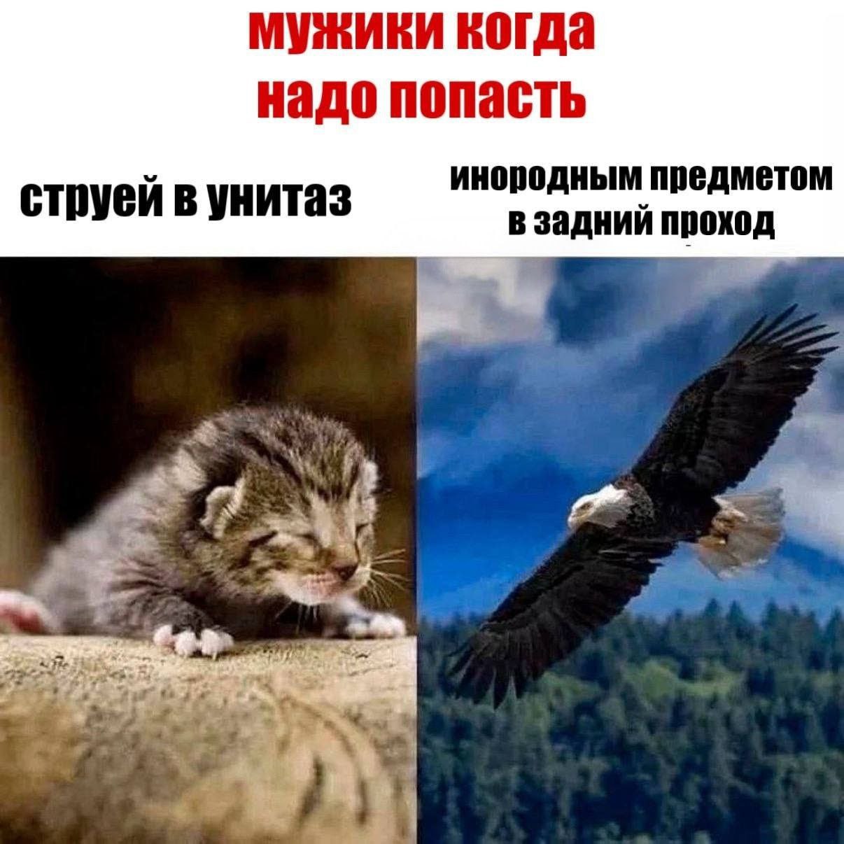 мужики когда надо попасть инородным предметом струей в унитаз в задний проход