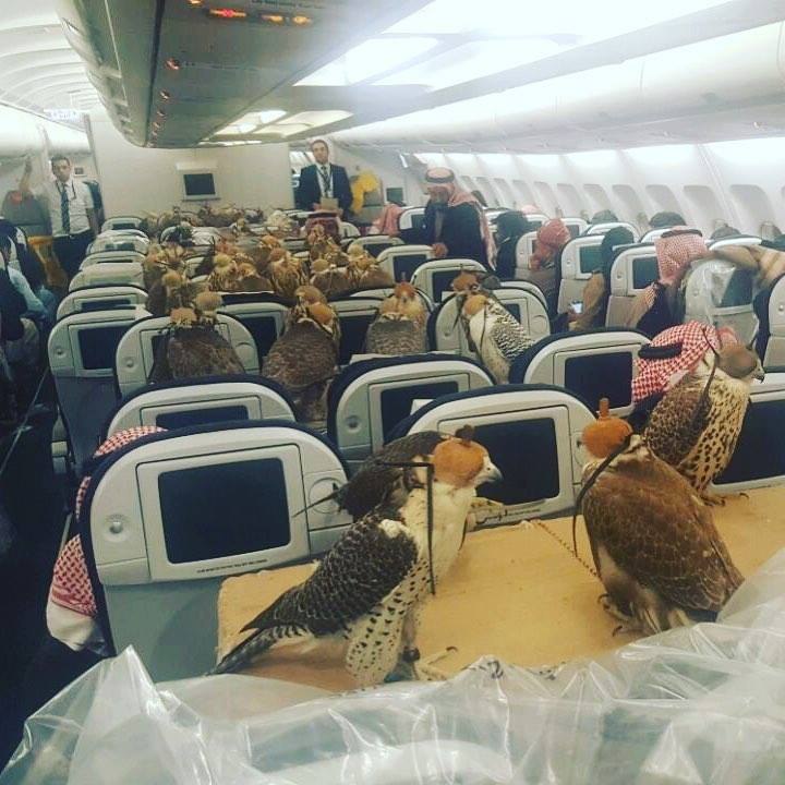 к у 4 i В 1