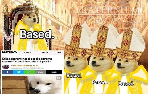 3) Based А METRO NEWS SPORT ALL Disapproving dog destroys owner's collection of porn Ellen Scott for Metro Based Based! Based!