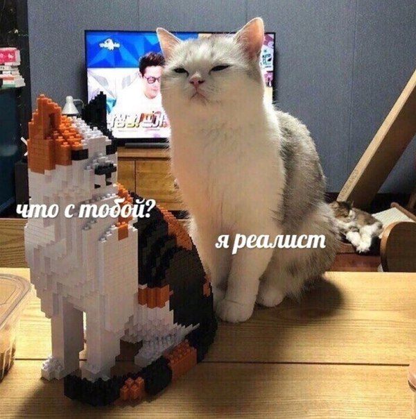 что с я реалист