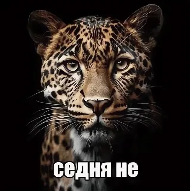 и 257 HE