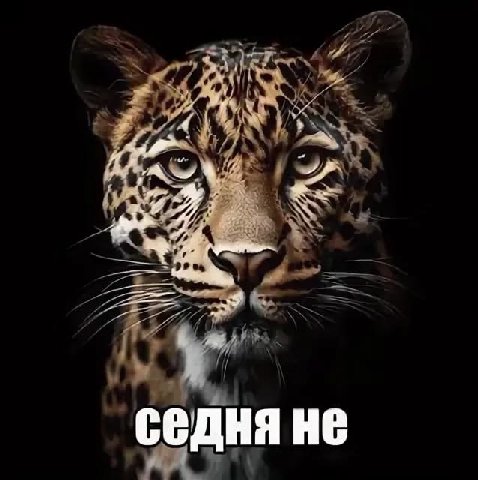 и 257 HE