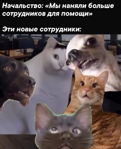 Начальство: «Мы наняли больше сотрудников для помощи» Эти новые сотрудники: