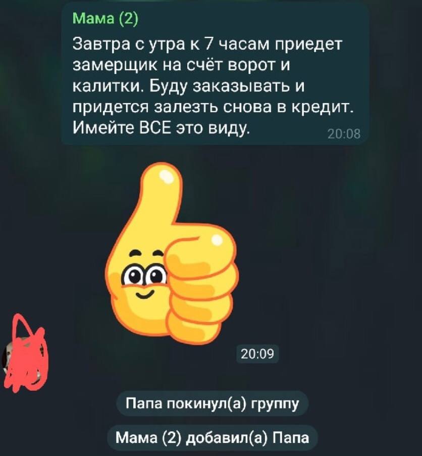 Мама (2) Завтра с утра к часам приедет замерщик на счёт ворот и калитки. Буду заказывать и придется залезть снова в кредит. Имейте ВСЕ это виду. 20:09 Папа покинул(а) группу Мама (2) добавил(а) Папа