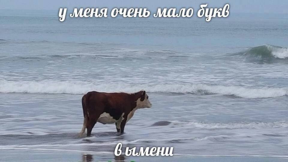меня очень мало