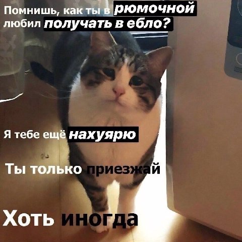Помнишь, как ты в рюмочной любил получать в ебло? Я тебе ещё нахуярю Ты только у Хоть