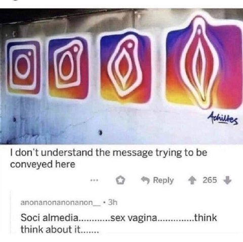 don't understand the message trying to be conveyed here Reply 265 anonanonanonanon Soci almedia sex vagina think think about it