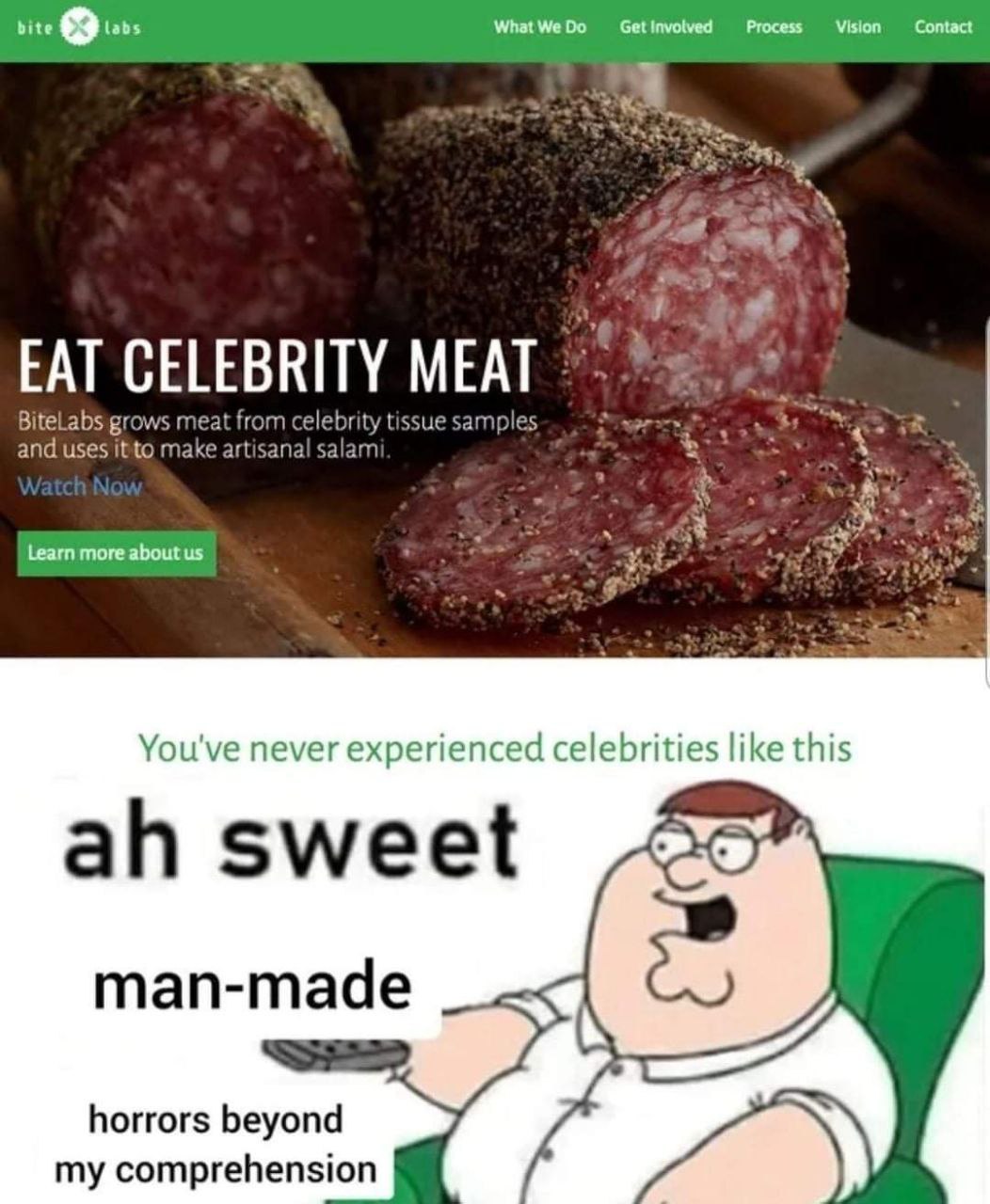 vite WhatWeDo Getinvolved Process Vision EAT CELEBRITY MEAT BiteLabsigrows meat from celebrity tissue samples and uses make artisanal salam 4 Learn more about You've never experienced celebrities like