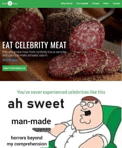 vite WhatWeDo Getinvolved Process Vision EAT CELEBRITY MEAT BiteLabsigrows meat from celebrity tissue samples and uses make artisanal salam 4 Learn more about You've never experienced celebrities like