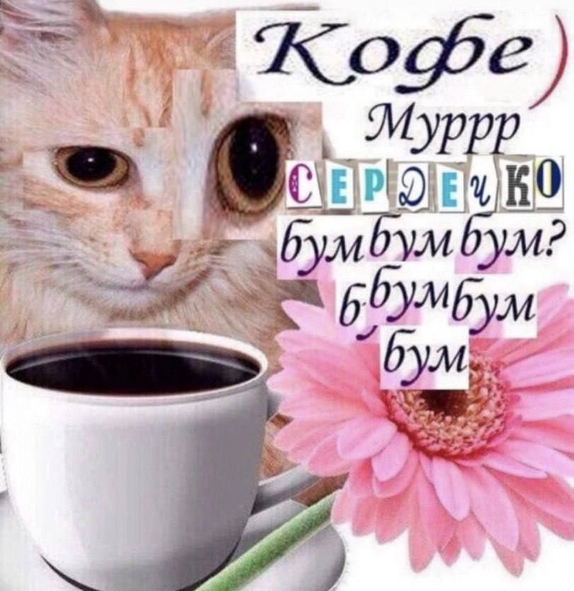 Mypp С 0 умбум?