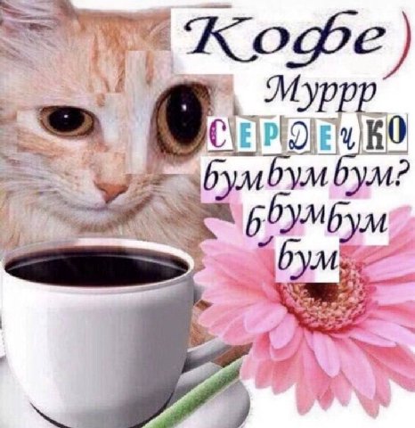 Mypp С 0 умбум?