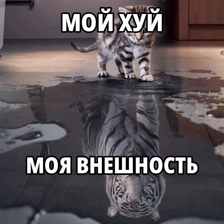 МОЙ ХУЙ МОЯ ВНЕШНОСТЬ