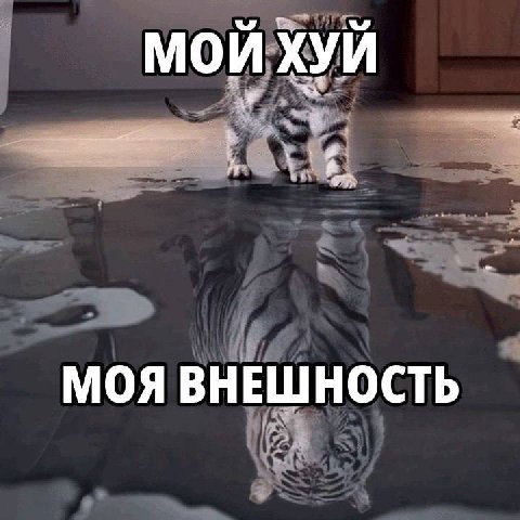 МОЙ ХУЙ МОЯ ВНЕШНОСТЬ