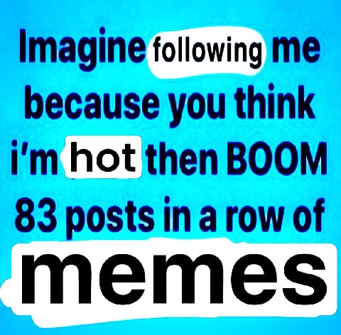 Imagine following me because you think hot then BOOM 83 posts in a row of memes