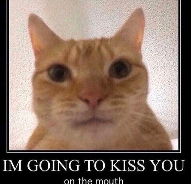 im going to kiss you on the mouth