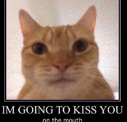 im going to kiss you on the mouth