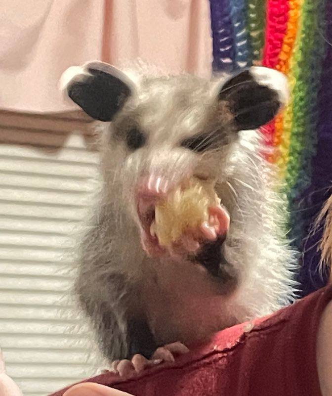 А