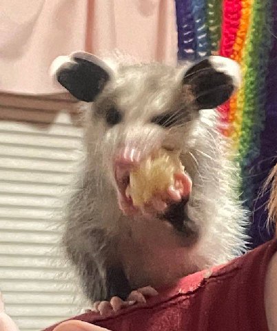 А