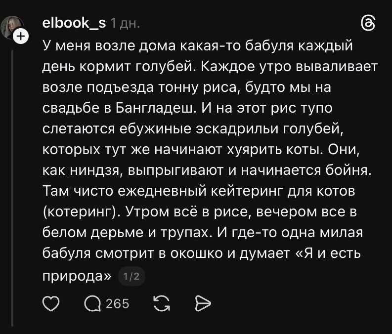 elbook_s У меня возле дома какая-то бабуля каждый день кормит голубей. Каждое утро вываливает возле подъезда тонну риса, будто мы на свадьбе в Бангладеш. И на этот рис тупо слетаются ебужиные эскадрил