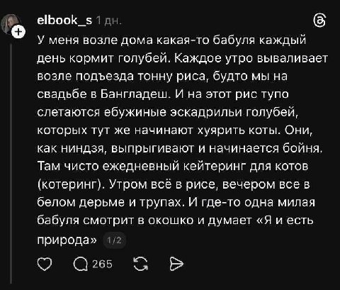 elbook_s У меня возле дома какая-то бабуля каждый день кормит голубей. Каждое утро вываливает возле подъезда тонну риса, будто мы на свадьбе в Бангладеш. И на этот рис тупо слетаются ебужиные эскадрил