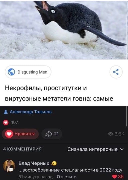 Disgusting Men Некрофилы, проститутки и виртуозные метатели говна: Самые Александр Тальнов Нравится 21 4 КОММЕНТАРИЯ Сначала интересные Влад Черных ..востребованные специальности в 2022 году Ответить
