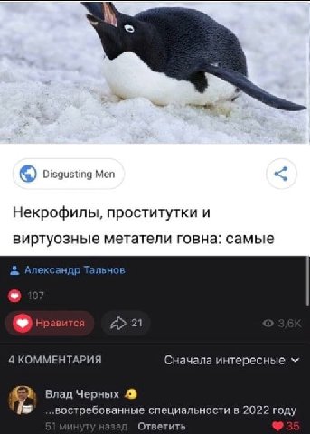 Disgusting Men Некрофилы, проститутки и виртуозные метатели говна: Самые Александр Тальнов Нравится 21 4 КОММЕНТАРИЯ Сначала интересные Влад Черных ..востребованные специальности в 2022 году Ответить