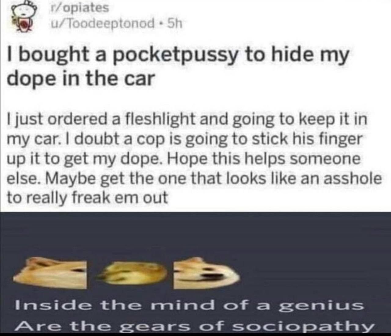 ate bought а pocketpussy to hide dope in the car just ordered a fleshlight and going to keep it in my саг. doubt a cop is going to stick his finger up it to get my dope. Hope this helps someone else. 