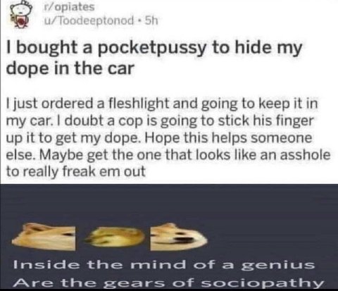 ate bought а pocketpussy to hide dope in the car just ordered a fleshlight and going to keep it in my саг. doubt a cop is going to stick his finger up it to get my dope. Hope this helps someone else. 