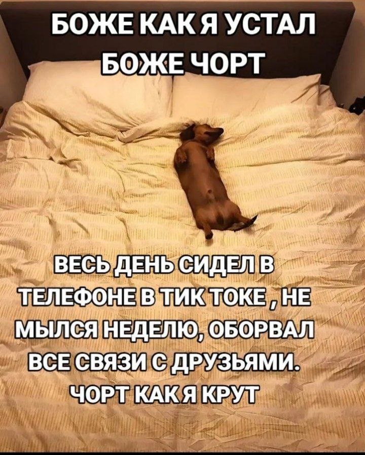 БОЖЕКАК Я УСТАЛ БОЖЕ ЧОРТ at ANN 2 ТЕЛЕФОНЕ TOKE, МЫЛСЯ НЕДЕЛЮ, `ОБОРВАЛ ВСЕ СВЯЗИ с ДРУЗЬЯМИ. ЧОРТ КАКЯ КРУТ