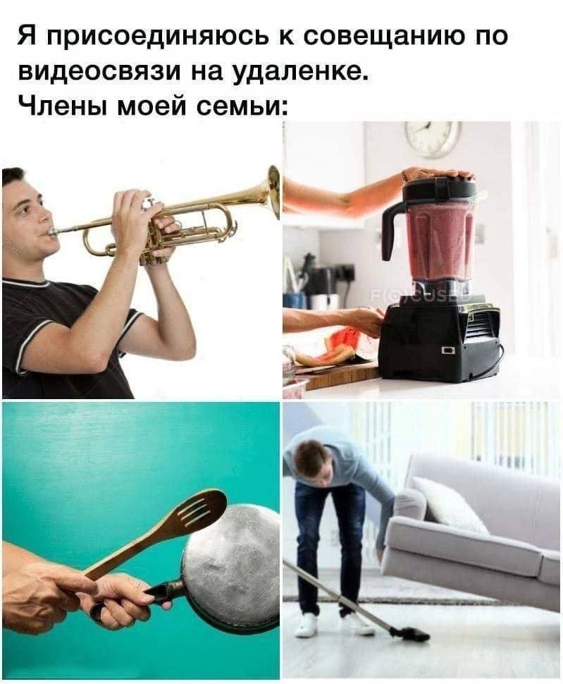 Я присоединяюсь к совещанию по видеосвязи на удаленке. Члены моей семьи: a