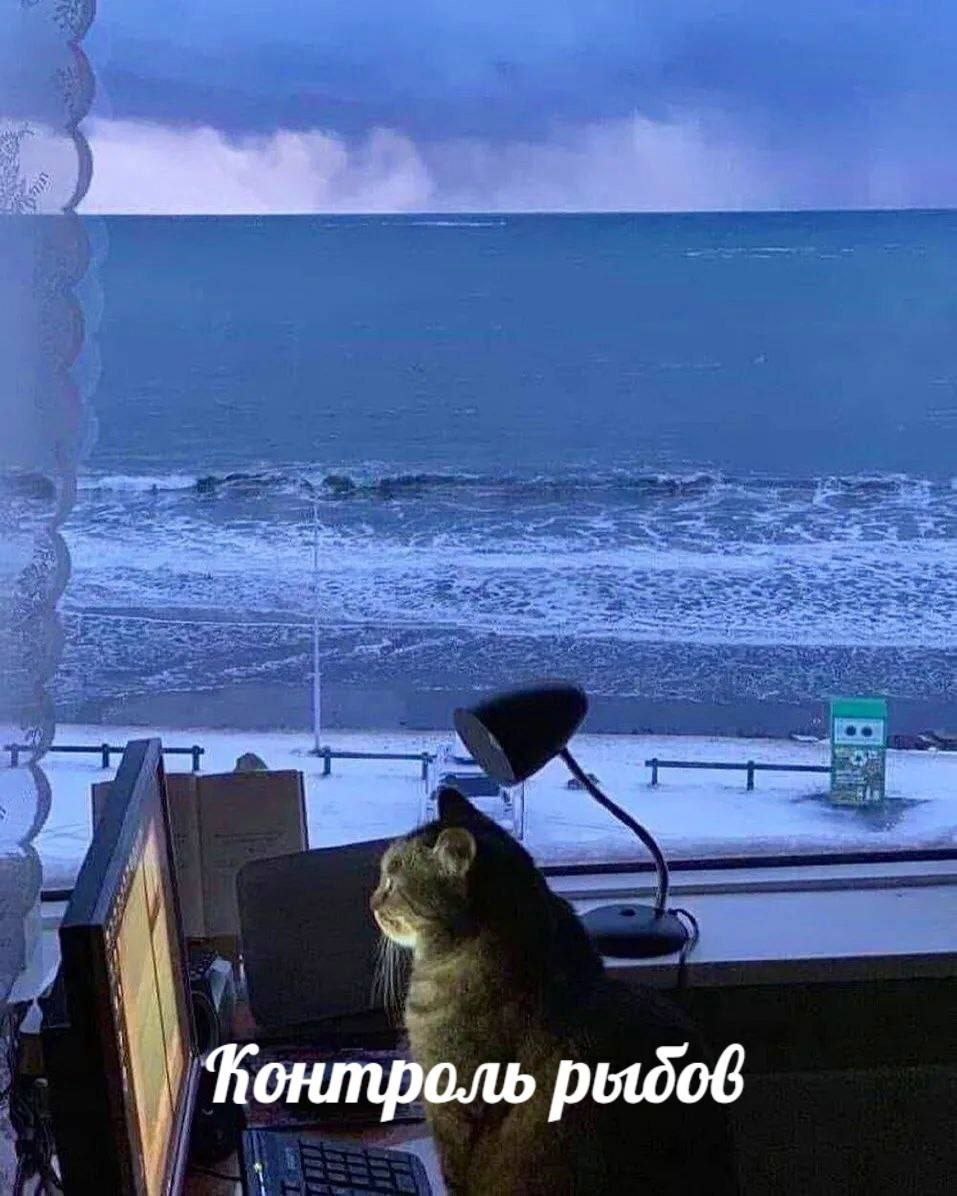 a Фонтроль рыдов