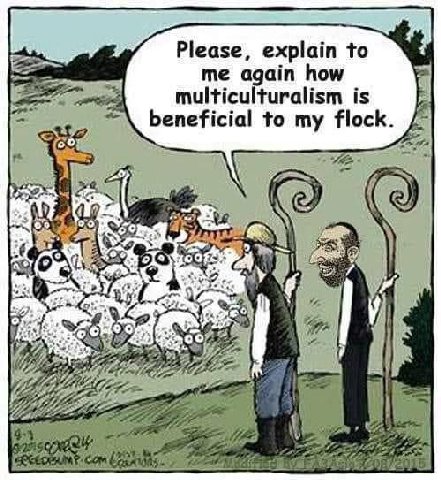 Please, explain to me again how multiculturalism is beneficial to my flock. Sak —5 Tier 7 к с com