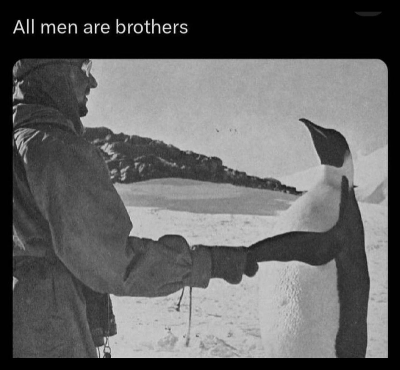 All men are brothers я a
