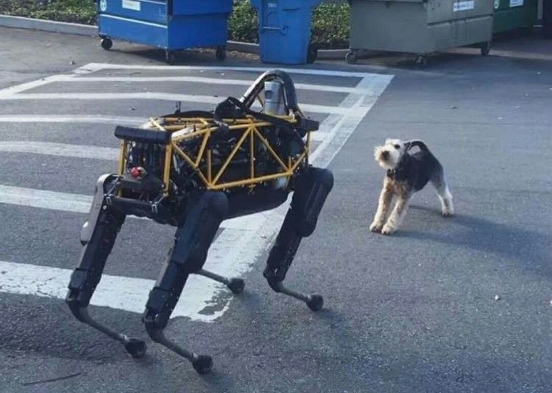 Я