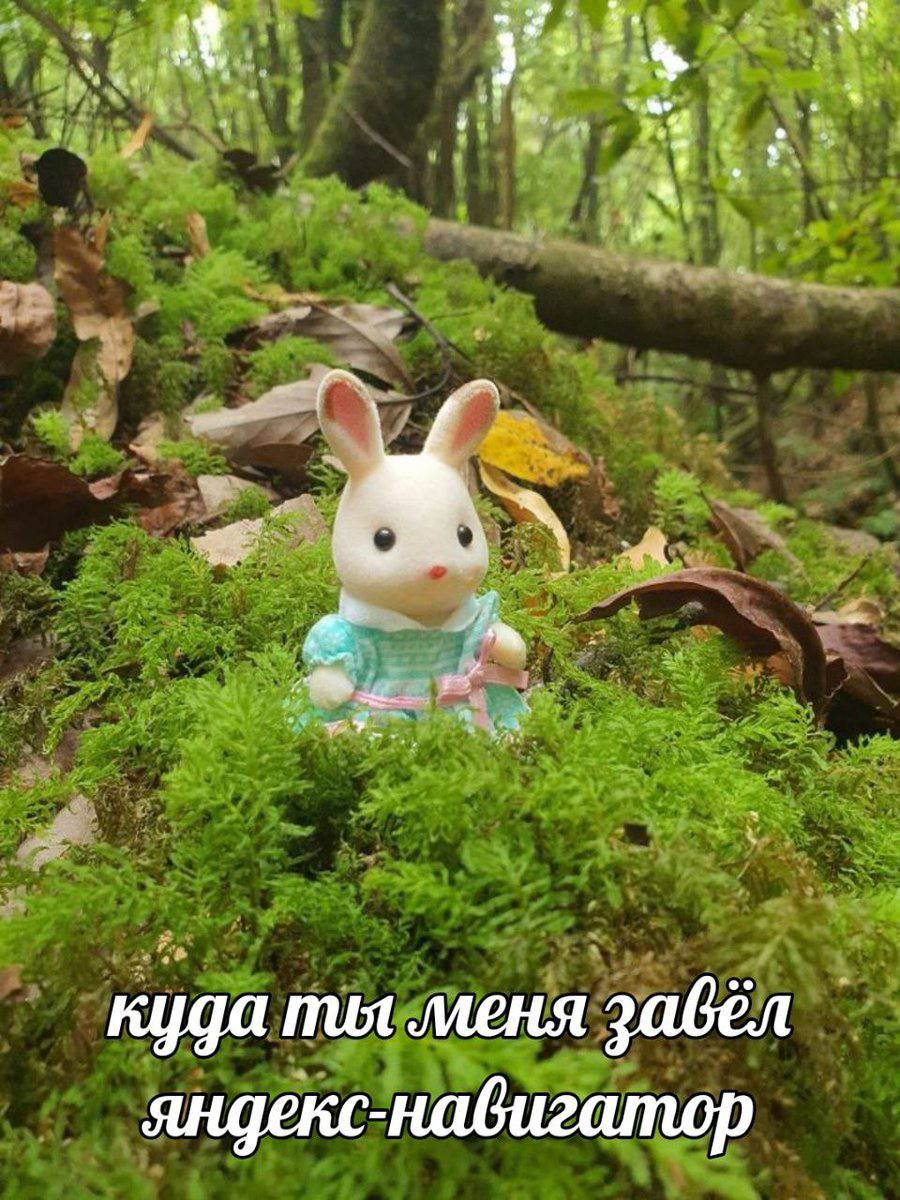 2^ AS куда mut меня 2abEN яндекс-навигатор