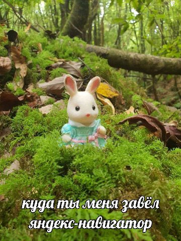 2^ AS куда mut меня 2abEN яндекс-навигатор
