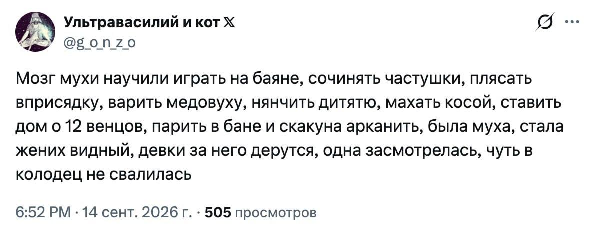 Ультравасилий и кот @gonzo Мозг мухи научили играть на баяне, сочинять частушки, плясать вприсядку, варить медовуху, нянчить дитятю, махать косой, ставить дом о 12 венцов, парить в бане и скакуна арка