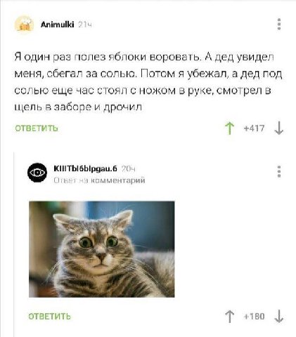Animulki Я один раз полез яблоки воровать. А дед увидел меня, сбегал за солью. Потом я убежал, а дед под солью еще час стоял с ножом в руке, смотрел в щель в заборе и дрочил ОТВЕТИТЬ +417 ответ на ком
