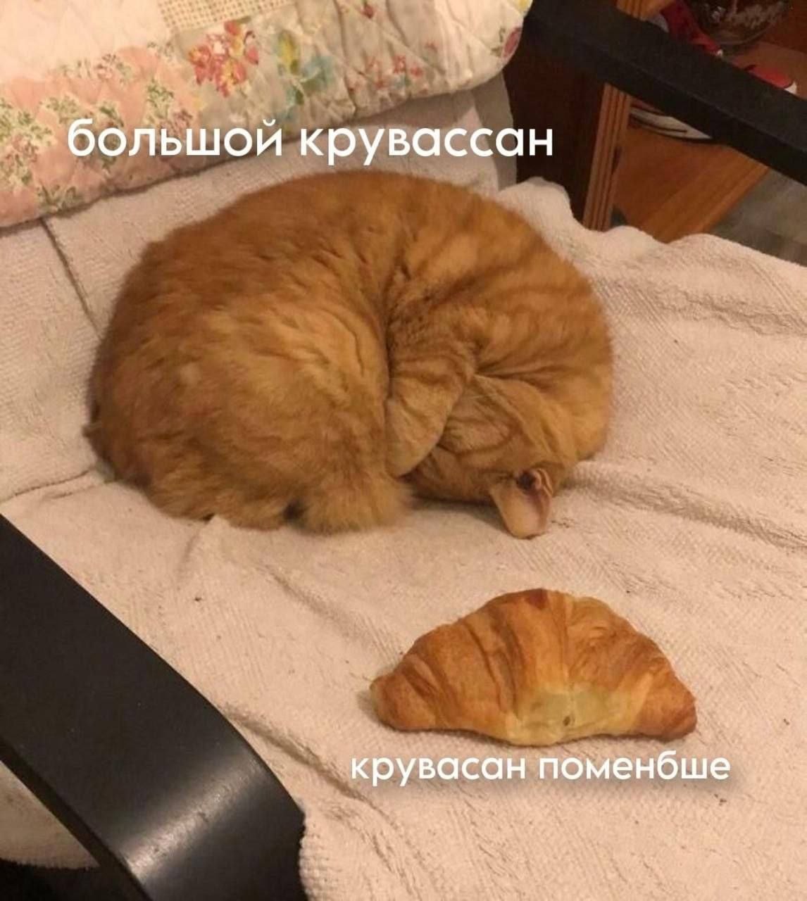 большой крувассан крувасан поменбше i