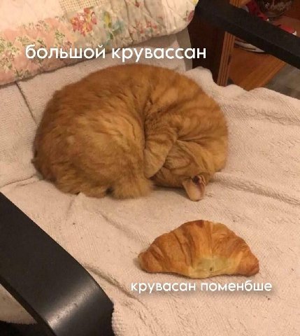 большой крувассан крувасан поменбше i