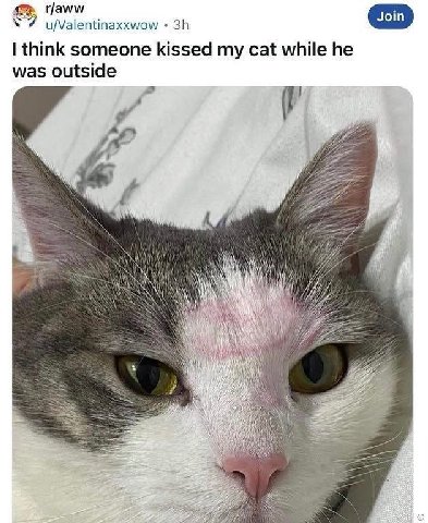 Join u/Valentinaxxwow think someone kissed my cat while he was outside Wie АВА И А Nay) И’ у 22. A и