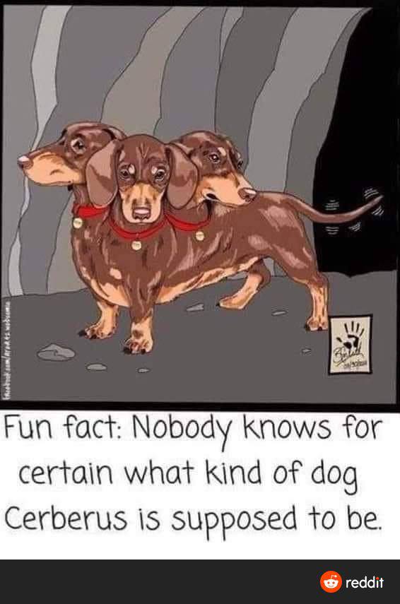 Fun fact: Nobody knows for certain what Kind of dog Cerberus supposed to be. reddit