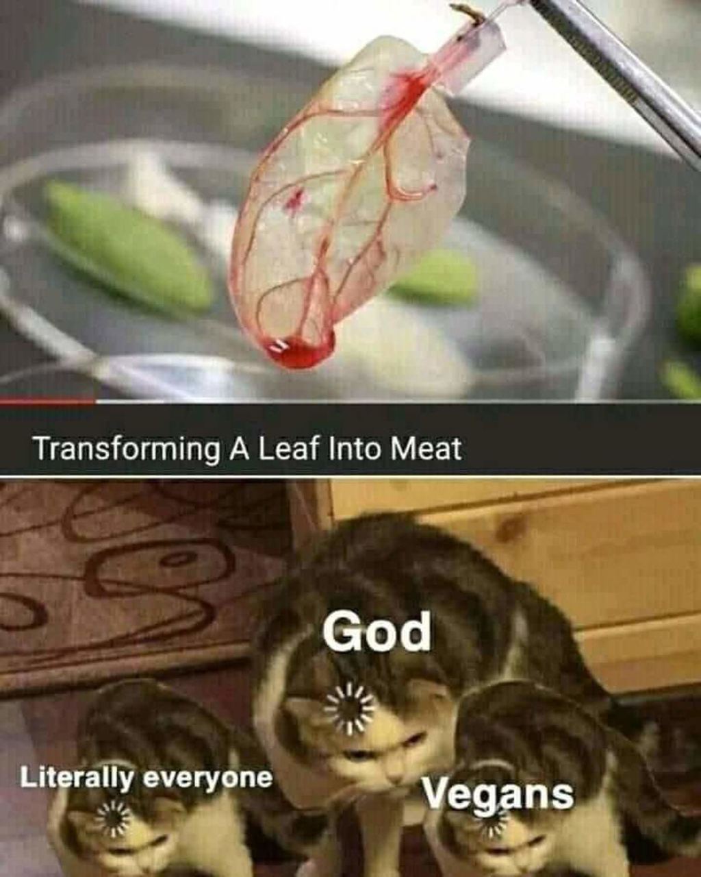 Transforming A Leaf Into Meat God Literally everyone Vegans
