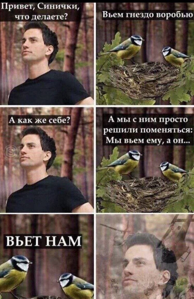 Привет, Синички, что делаете? Вьем гнездо воробью у я A. 4 А как же себе? А мысним просто a решили поменяться: Мы вьем ему, аон... 7